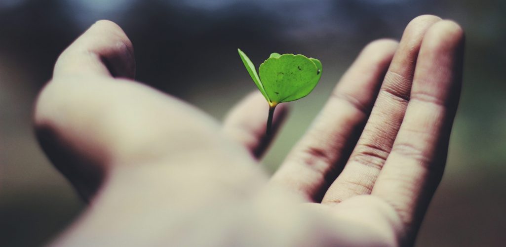 ravi-roshan-_AdUs32i0jc-unsplash